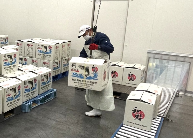 電動バランサに期待 多様なニーズに対応可能　ユニパルス